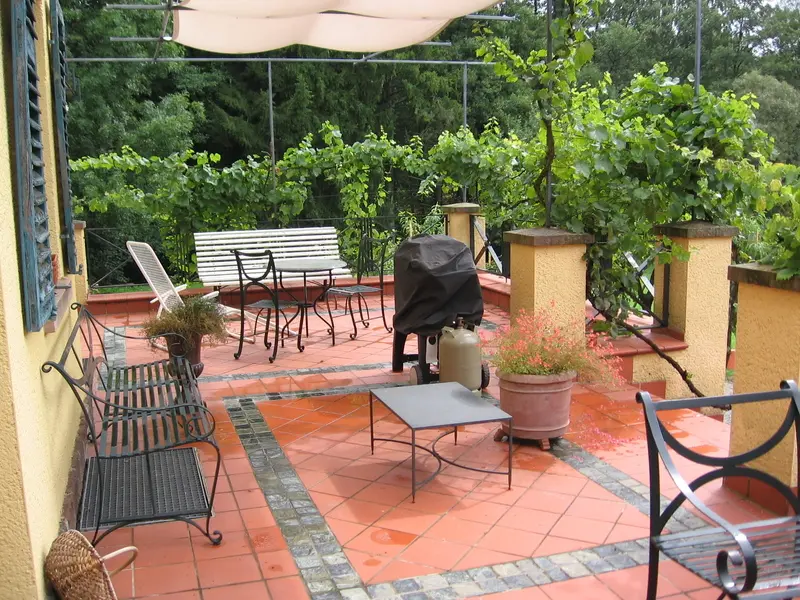 Die üppige Berankung mit Weinreben wurde auf den unteren Bereich der Pergola reduziert