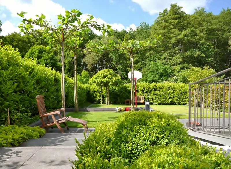 Terrassierter Hanggarten in Bad Homburg – Projektfoto