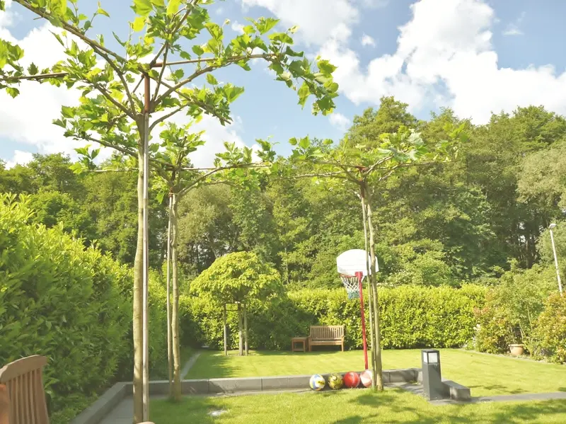 Terrassierter Hanggarten in Bad Homburg – Projektfoto