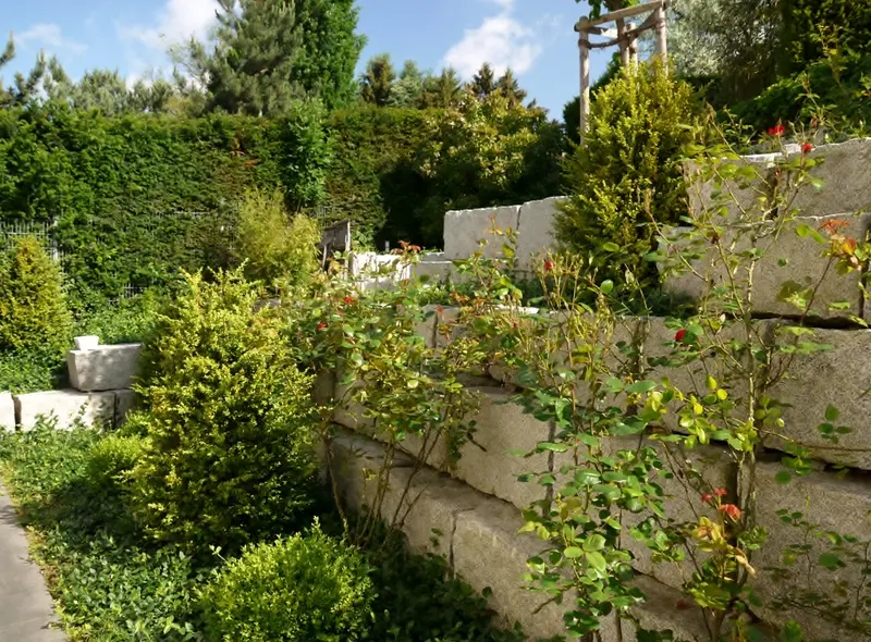Terrassierter Hanggarten in Bad Homburg – Projektfoto