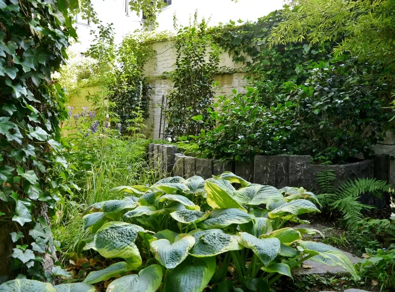 Stadtgarten in Düsseldorf-Unterbilk – Projektfoto