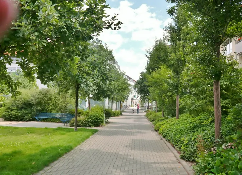 Alleeblick zum Markplatz