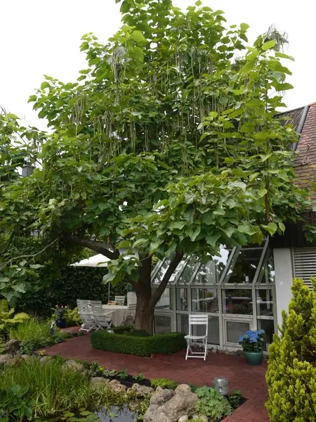 Kleines Paradies in Rodgau-Oberroden – Projektfoto