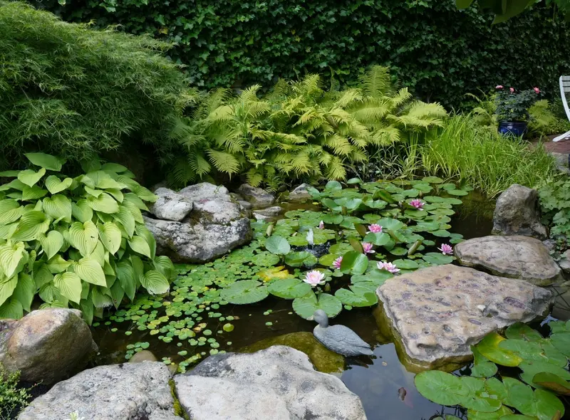 Kleines Paradies in Rodgau-Oberroden – Projektfoto