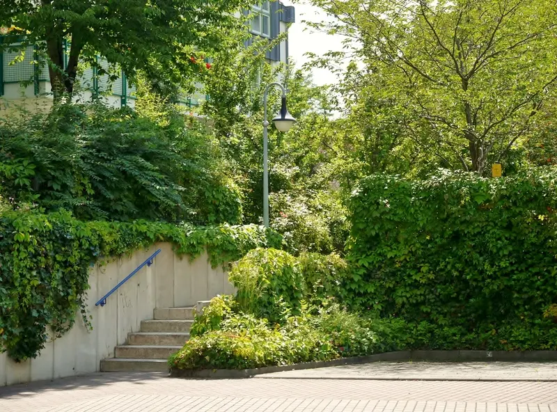Wohnbebauung Dresden Leubnitzer Höhe – Projektfoto