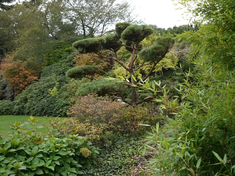 Garten in einer stillgelegten Lehmgrube in Nördlingen – Projektfoto