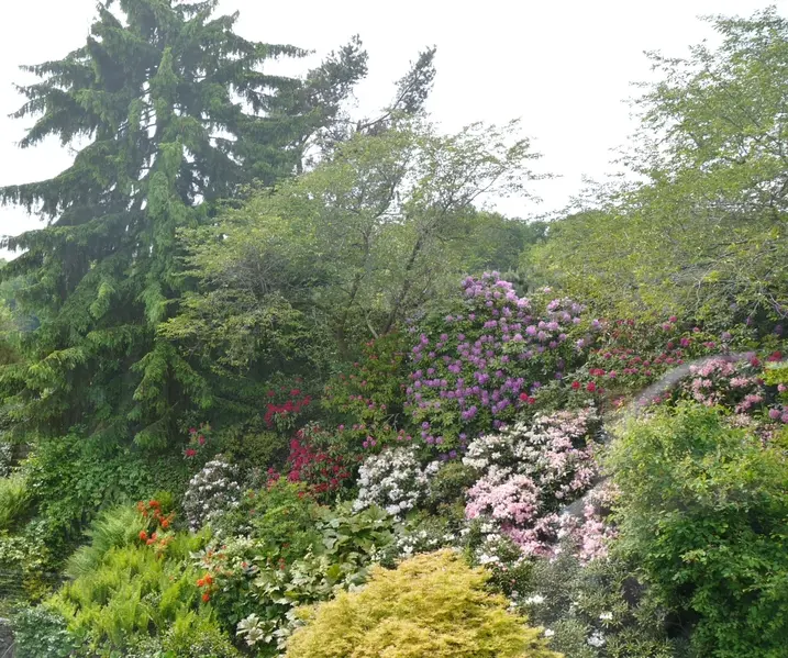 Garten in einer stillgelegten Lehmgrube in Nördlingen – Projektfoto