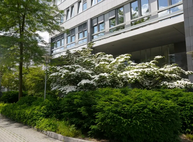 OMEGA HAUS in Offenbach – Projektfoto