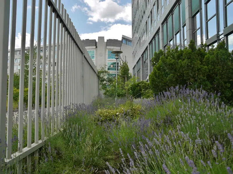 OMEGA HAUS in Offenbach – Projektfoto