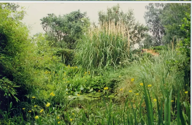 Wohnen und Arbeiten in einem ehemaligen Stall mit Heuboden, in der Grünewaldmühle in Babenhausen-Harreshausen, Hessen – Projektfoto