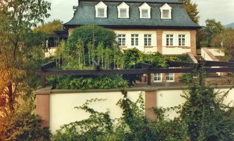 Aus einem offenen Vorgarten wird ein Gartenhof mit Mauer und Pergola