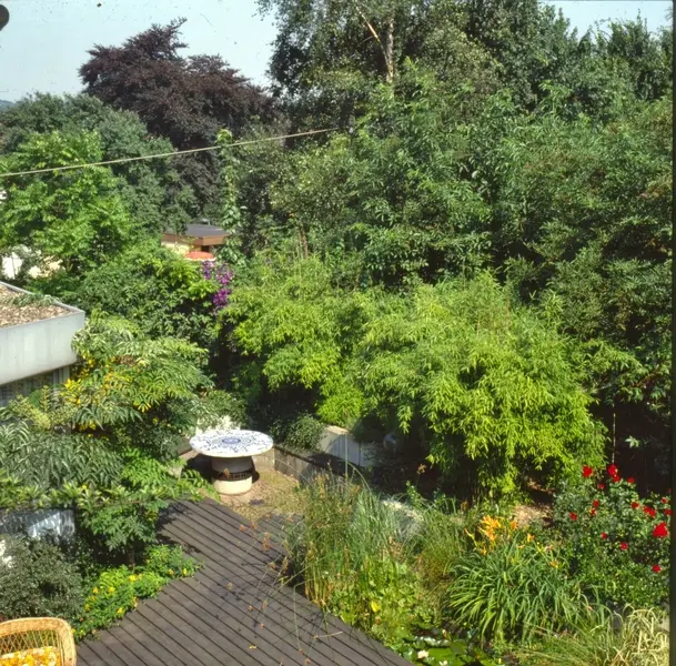 Blick vom angrenzenden Dach einer Mehrfachgarage. Kaum zu glauben, um Haus und Gartenhof auf diesem Pfeifenstilgrundstück zu bauen, mußten die Enden von 5 Grundstücken erworben werden.