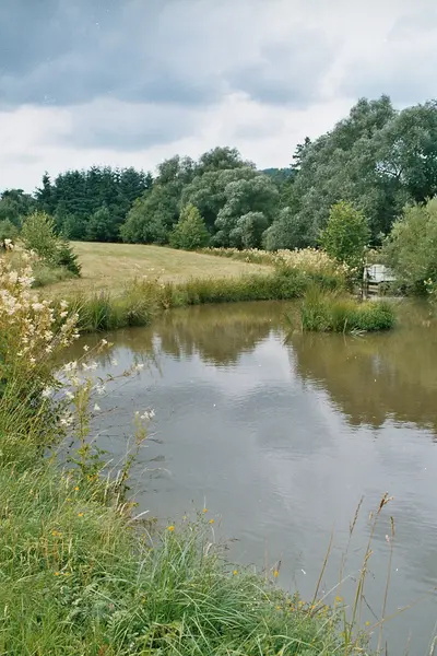 Der Mühlteich