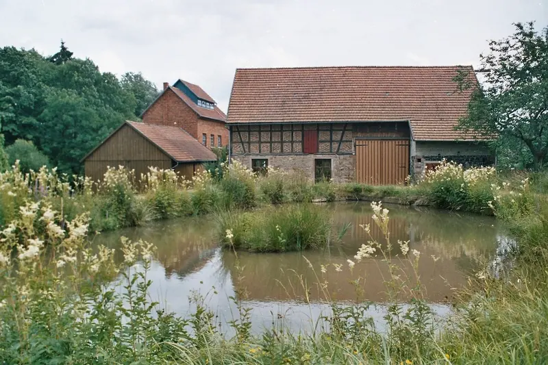 Stall und Scheune zum Büro-Loft ausgebaut, davor der Mühlteich mit Insel und Ufervegetation