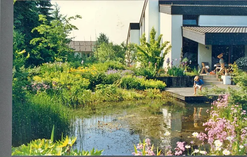 Garten mit Wasser und Stauden im Bergischen Land – Projektfoto