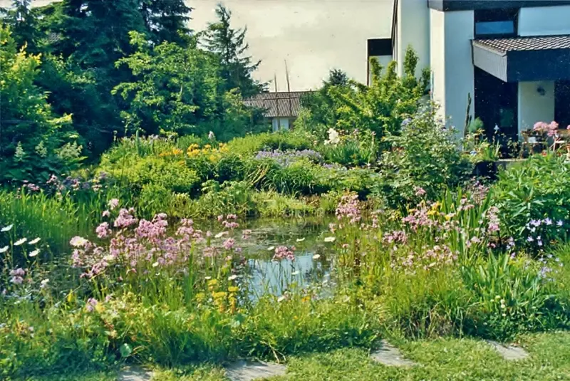 Garten mit Wasser und Stauden im Bergischen Land – Projektfoto