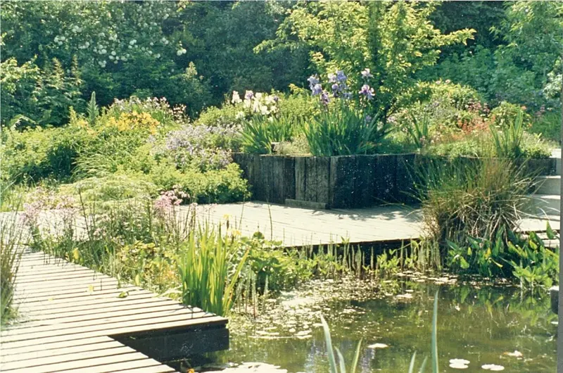 Garten mit Wasser und Stauden im Bergischen Land – Projektfoto