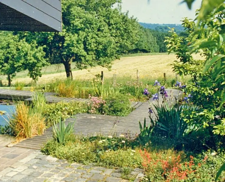 Garten mit Wasser und Stauden im Bergischen Land – Projektfoto