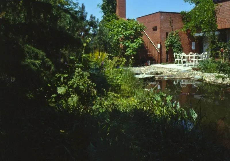 Obere Terrasse mit angrenzendem Teich. Die Stufen führen auf die teilbegrünte Dachterrasse