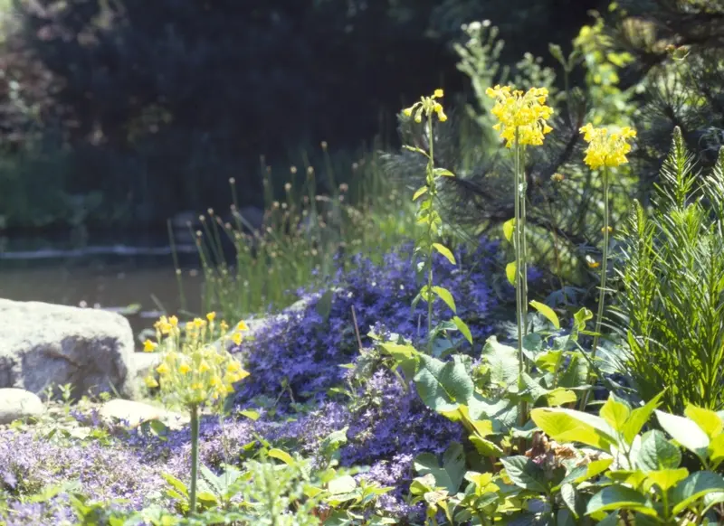 Garten auf drei Ebenen in Bensberg – Projektfoto