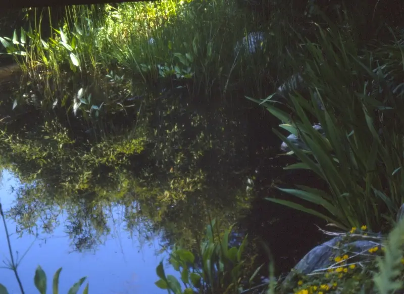 Garten auf drei Ebenen in Bensberg – Projektfoto