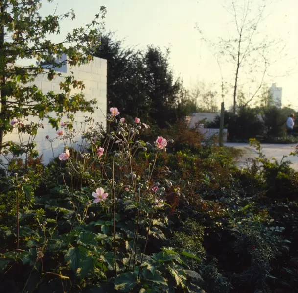 Bundesgartenschau in Bonn 1979 – Projektfoto