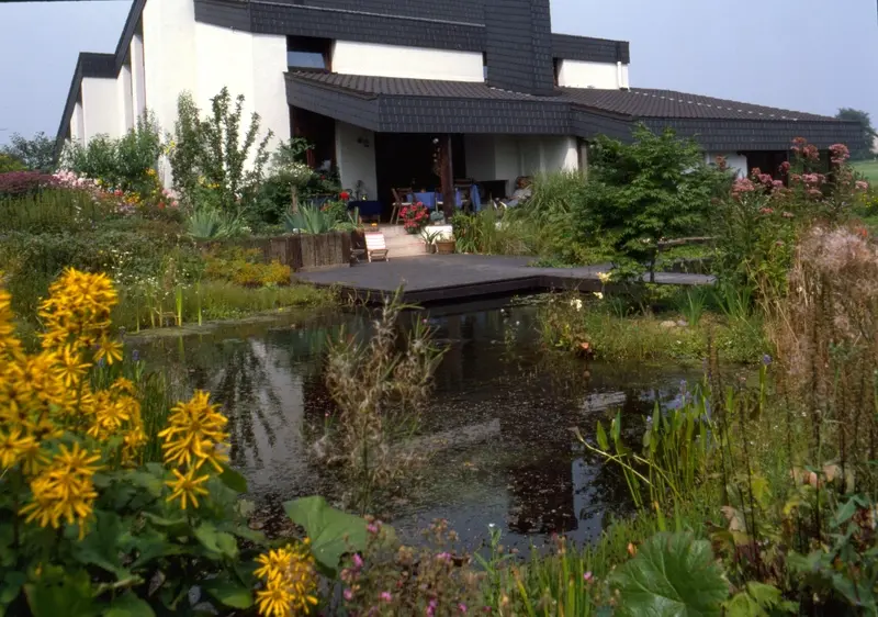 Garten mit Wasser und Stauden im Bergischen Land – Projektfoto