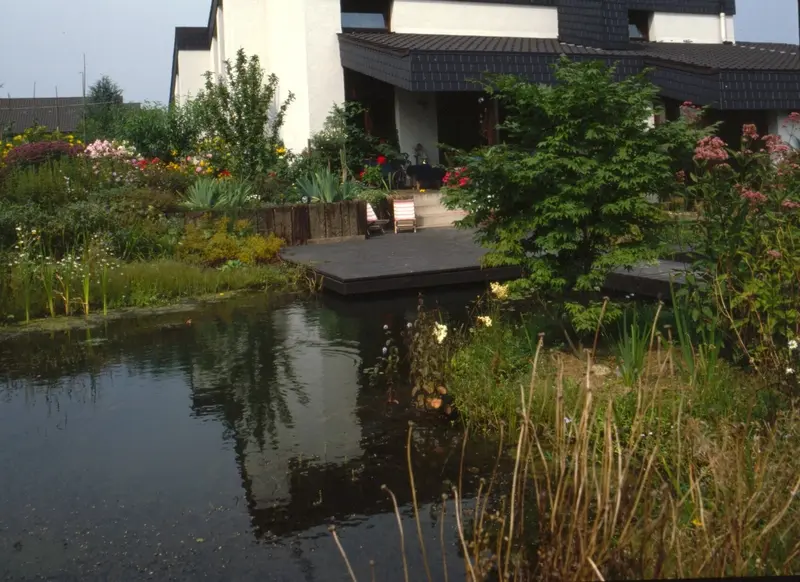 Garten mit Wasser und Stauden im Bergischen Land – Projektfoto