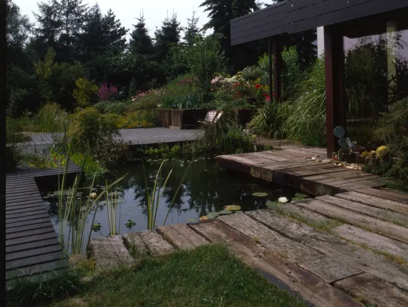 Garten mit Wasser und Stauden im Bergischen Land – Projektfoto