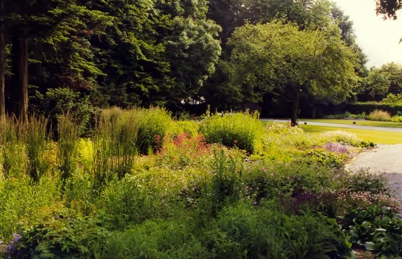 Parkähnlicher Garten in Düsseldorf – Projektfoto