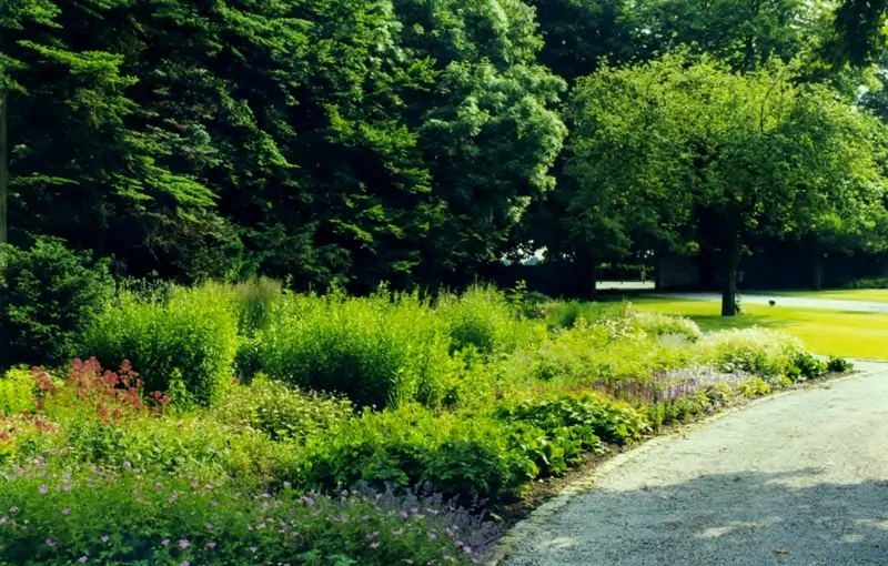 Parkähnlicher Garten in Düsseldorf – Projektfoto