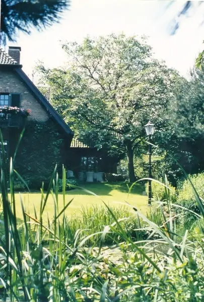 Garten in Alsdorf – Projektfoto