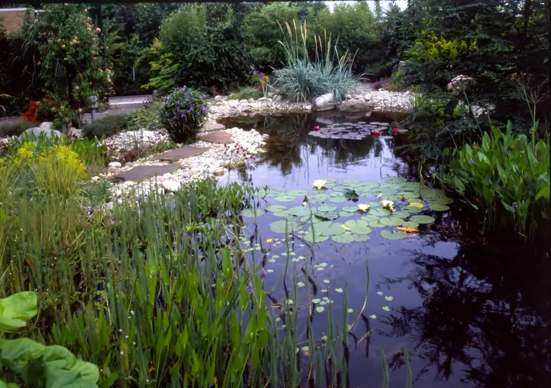 Wassergarten in Emsdetten – Projektfoto