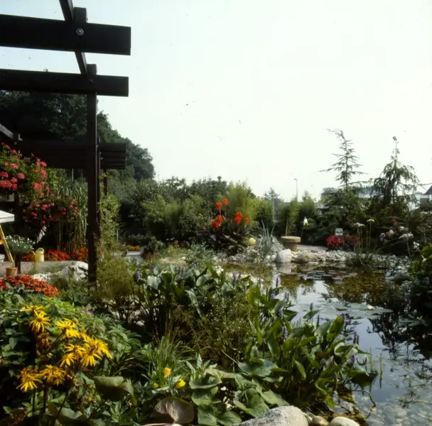 Wassergarten in Emsdetten – Projektfoto