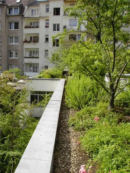Intensive Dachbegrünung einer Gemeinschaftspraxis Hohenzollernstraße in Düsseldorf – Projektfoto