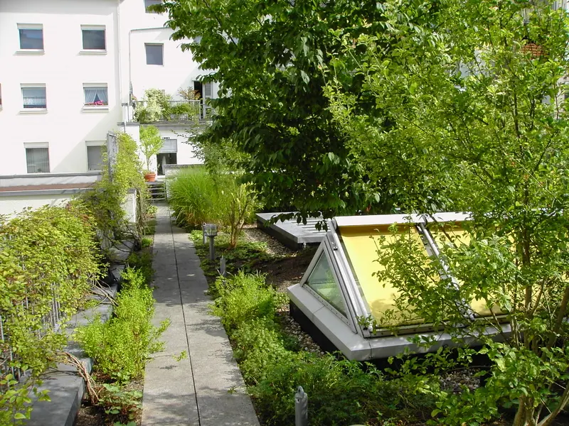 Intensive Dachbegrünung einer Gemeinschaftspraxis Hohenzollernstraße in Düsseldorf – Projektfoto