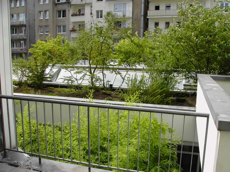 Intensive Dachbegrünung einer Gemeinschaftspraxis Hohenzollernstraße in Düsseldorf – Projektfoto