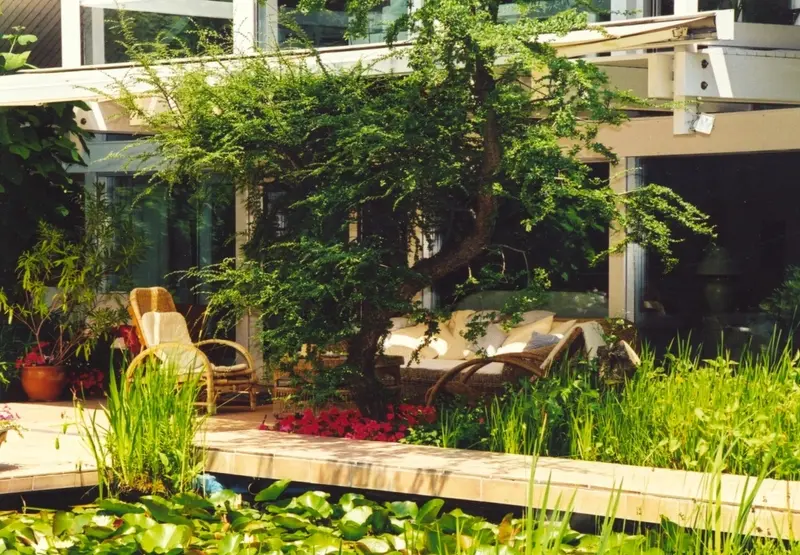 Garten mit Aligator in Neuss/Florida – Projektfoto