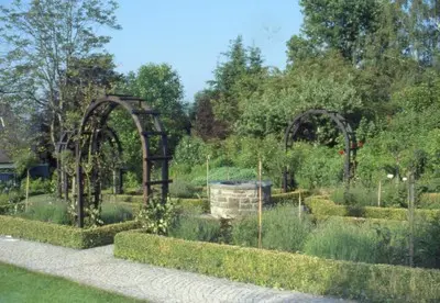 Garten im vorderem Taunus – Projektfoto