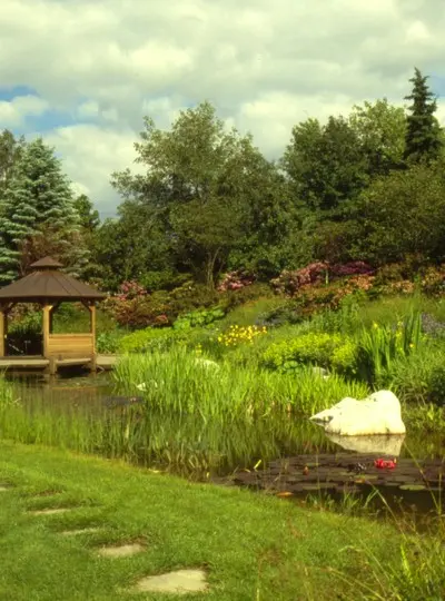 Garten im vorderem Taunus – Projektfoto