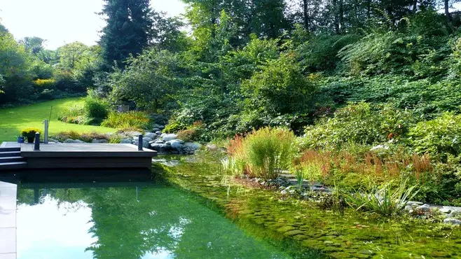 Garten mit Schwimmteich und überdachter Terrasse – Projektfoto
