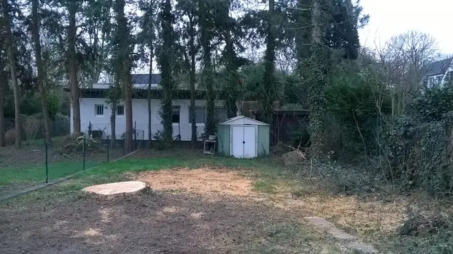 Garten vom Haus aus gesehen, das Gerätehaus ist in voller Breitseite zu sehen. Es wird zur Schmalseite gedreht und Richtung Mauer hinter eine Eibe verschoben.