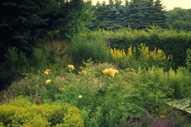 Parkähnlicher Garten in Düsseldorf – Projektfoto
