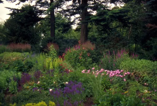 Parkähnlicher Garten in Düsseldorf – Projektfoto
