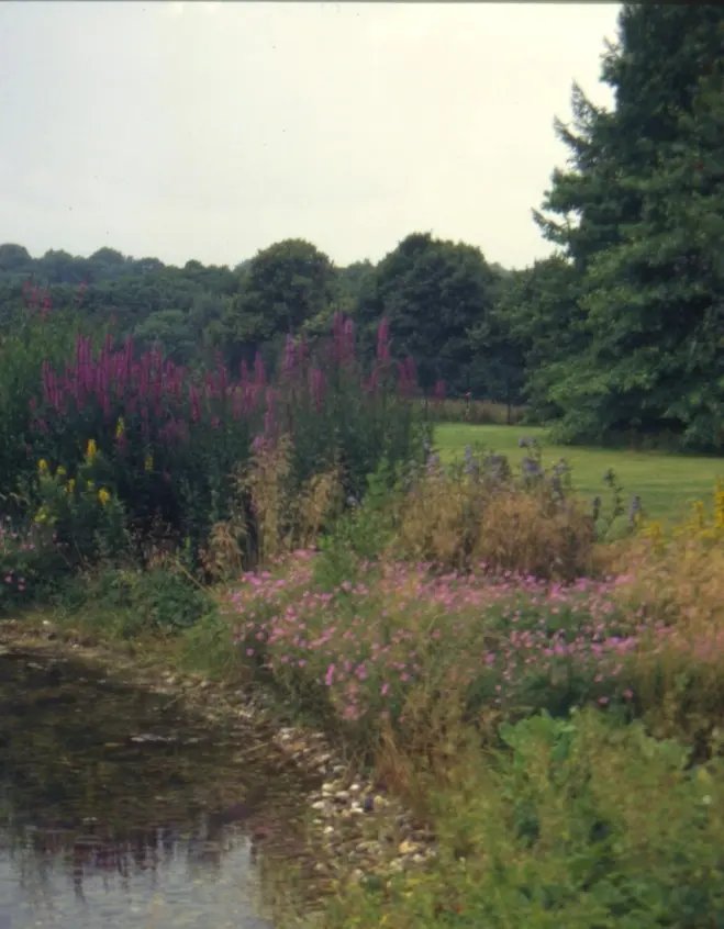 Parkähnlicher Garten in Düsseldorf – Projektfoto