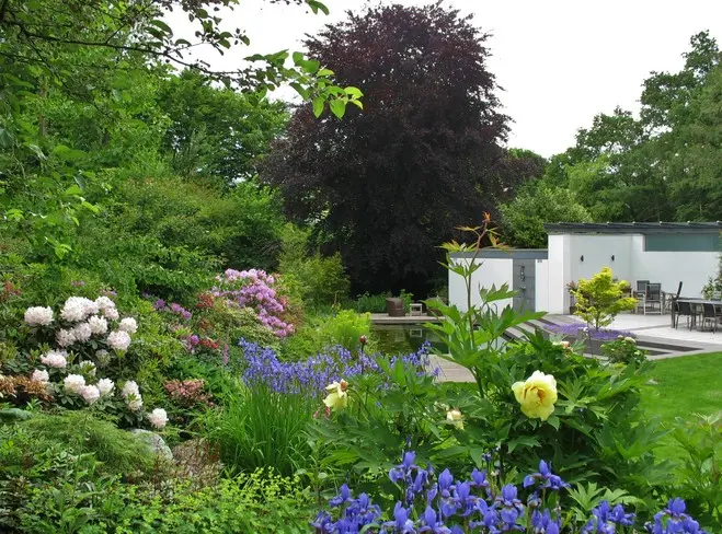 Garten mit Schwimmteich und überdachter Terrasse – Projektfoto