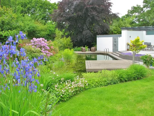 Garten mit Schwimmteich und überdachter Terrasse – Projektfoto