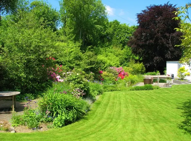 Garten mit Schwimmteich und überdachter Terrasse – Projektfoto