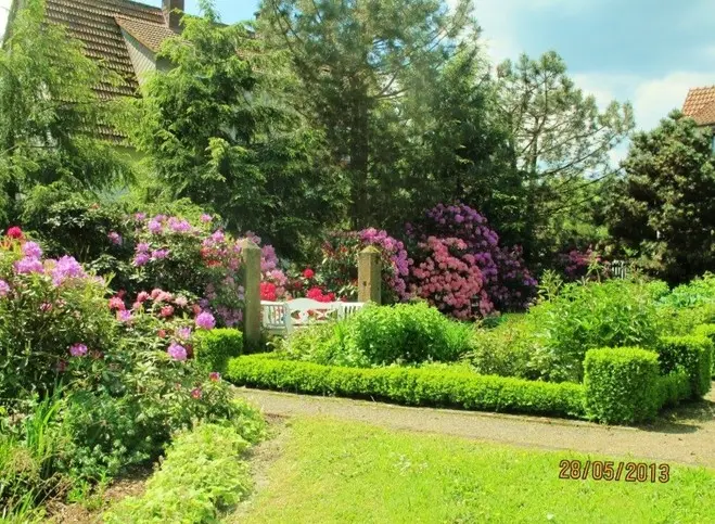 Neue Fotos vom Gartenbesitzer geschossen – Projektfoto