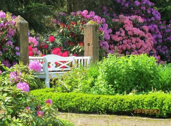 Neue Fotos vom Gartenbesitzer geschossen – Projektfoto